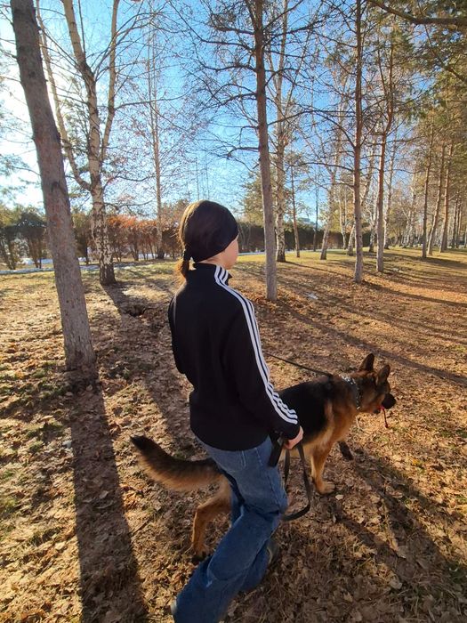 Выгул собак в Алматы