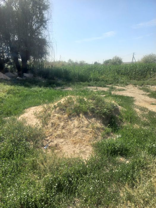 Срочно продам дом