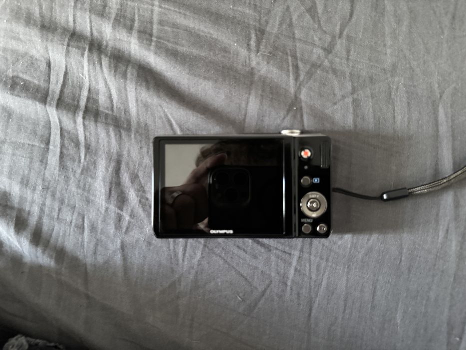 Olympus VR-310.