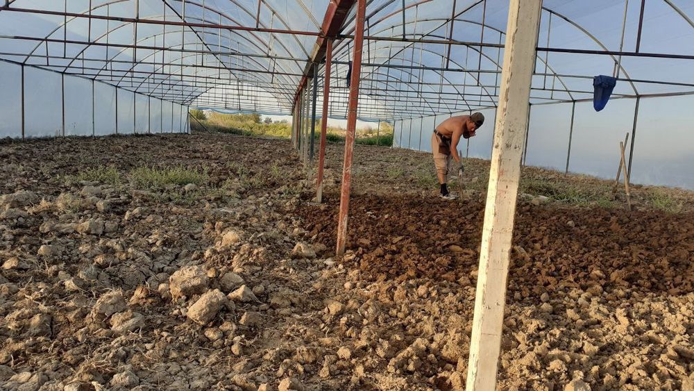 Иссикхона сотилади