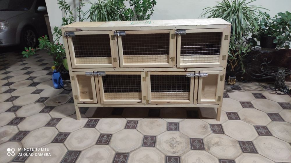 Quyon qafaslar zakasga