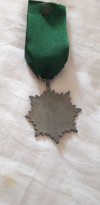 Medalie germană ww2 ,varianta cu spade.