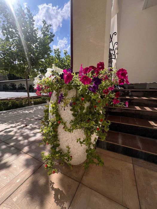 Продается дача срочно! Напишите в телеграм скину видео дачи.