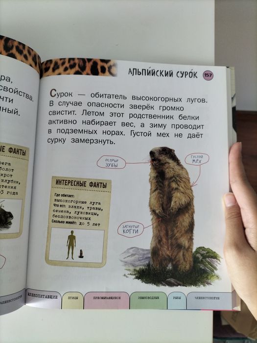 Энциклопедия. Всё о животных!