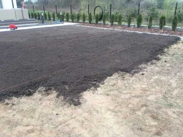 Pamant negru vegetal