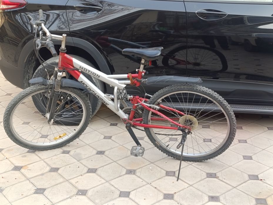 Velosiped Koreaniki.