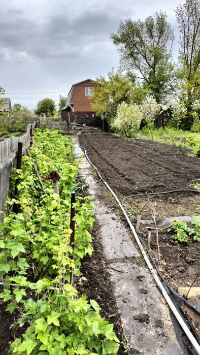 продам дачу на Чапаева