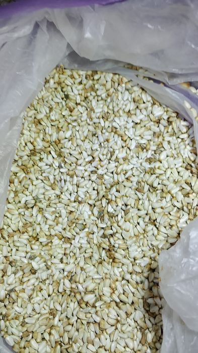 Ячмень.Платный чат! Все корма.