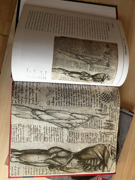 !!! ARTA si CULTURA !!! Set 14 volume cartonate – Colecția Jurnalul / Biblioteca de Artă – Adevărul – Stare impecabilă