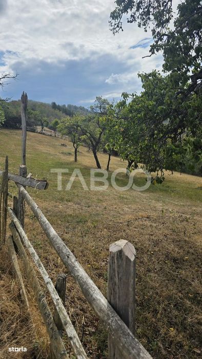 Teren de vanzare 8.300 mp Plesi Loman judetul Alba