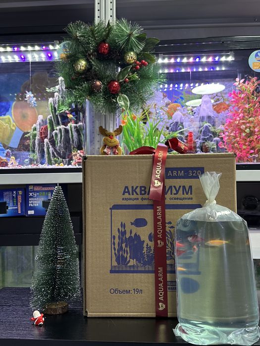 Новинки заводских  аквариумов ‼️‼️