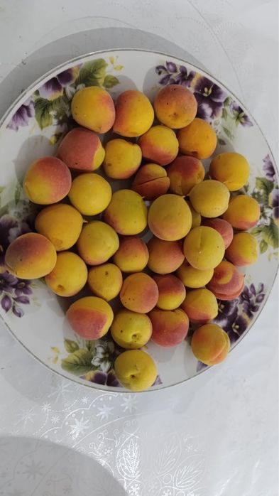 Сары өрік сатылады