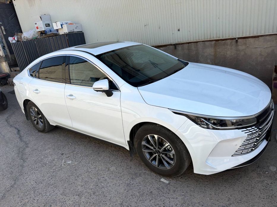 BYD Chazor srocno sotiladi