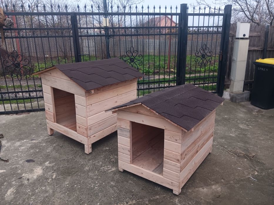 Cusca catel pisici la comanda