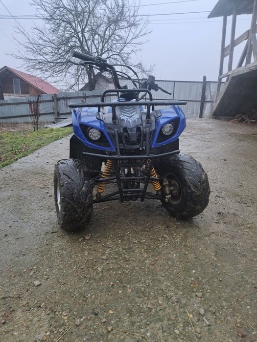 Darius varga alesandru