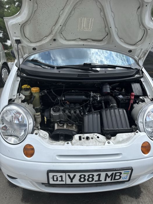 Matiz mx pirastoy gdrolika