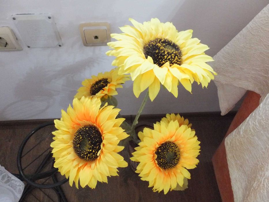 Fujifilm FinePix F770EXR 16 MPx