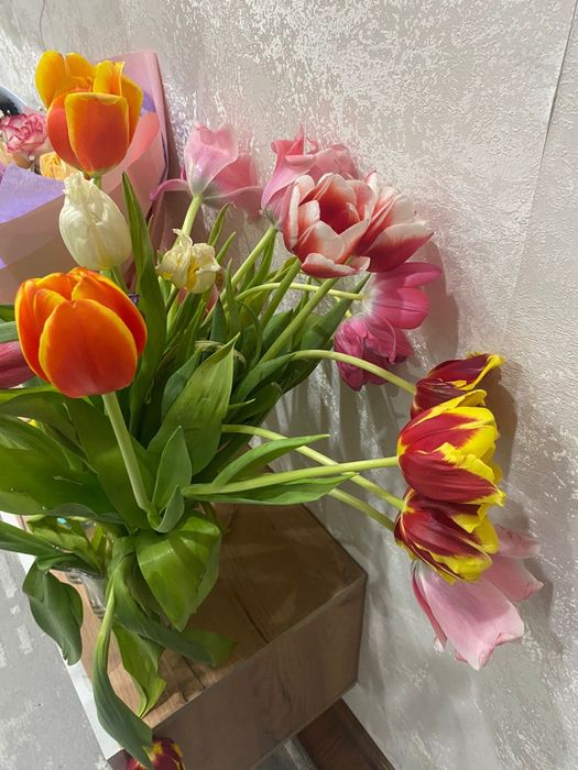 Тюльпаны свежие