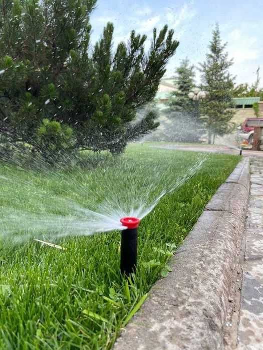 Укладка газона туи ели растения автополив озеленение