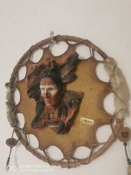 Tablou/Trofeu miniatura Bizon