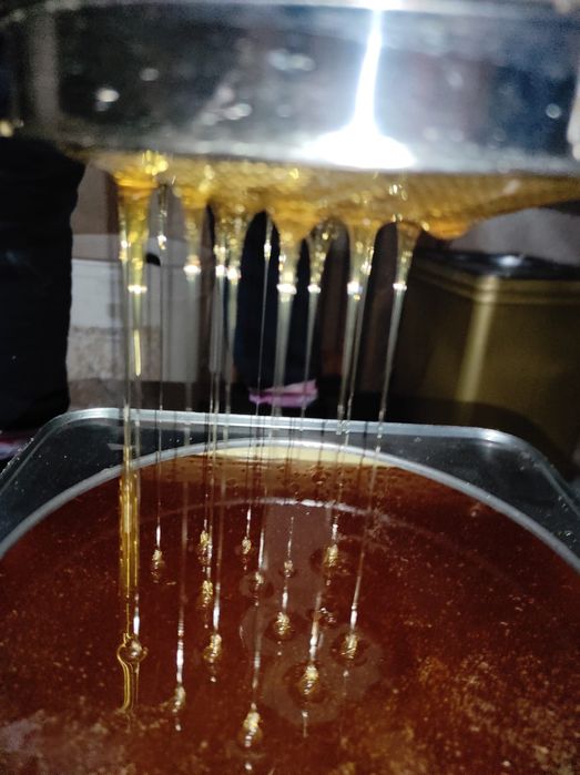 Пчелен мед реколта 2025г./Странджа планина/горски/билков/