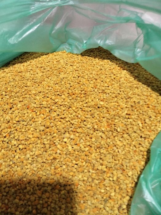 Vanzare polen poliflor si paducel