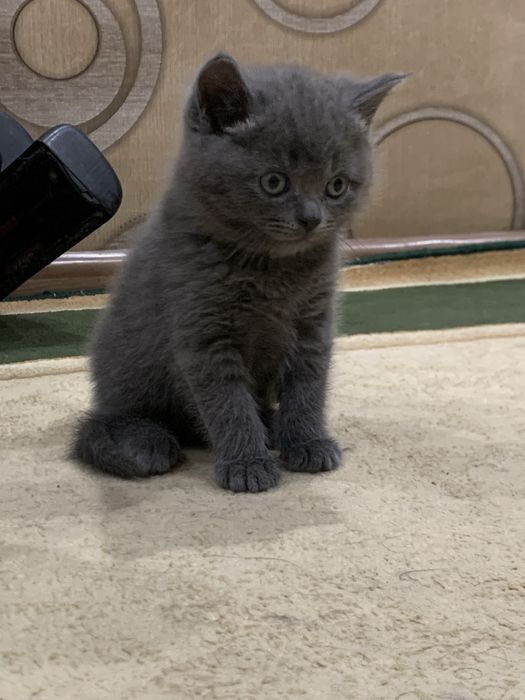 Kechgi20:00 dan ertalabki 9:00 bezovta qilmanglar