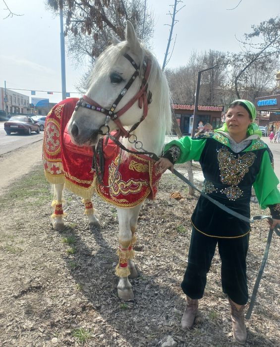 Лошади ,пони на Наурыз.Катание.