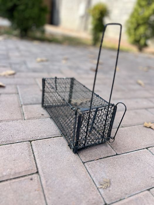 Крысыловка, проверена на практике