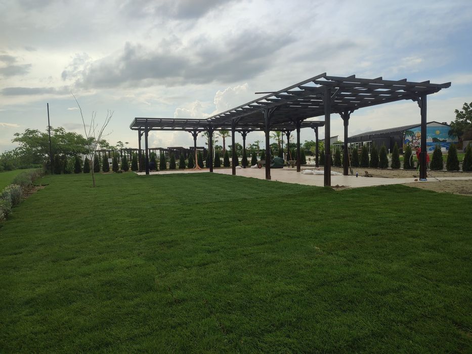 Gazon rulou sport 23 de lei m2.  Transport și montaj inclus în preț.