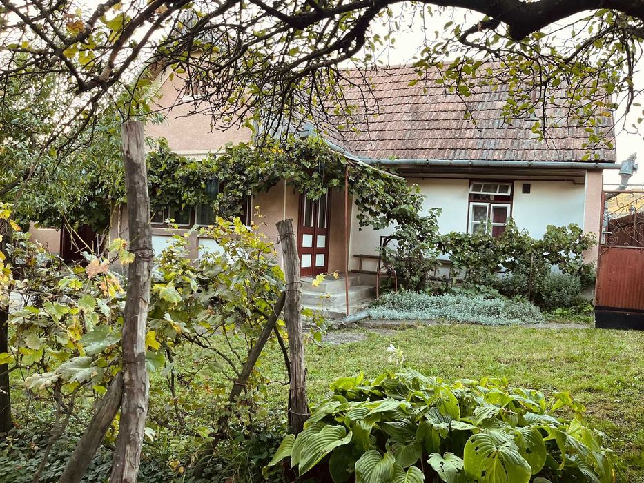 Casă de vânzare în Păsăreni