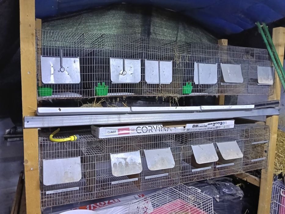 Cuști pentru iepuri talie mijlocie și mică