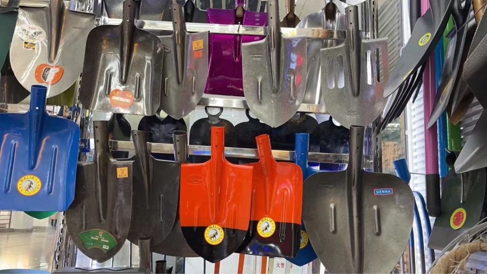 Lapatka hamma hilidan bor