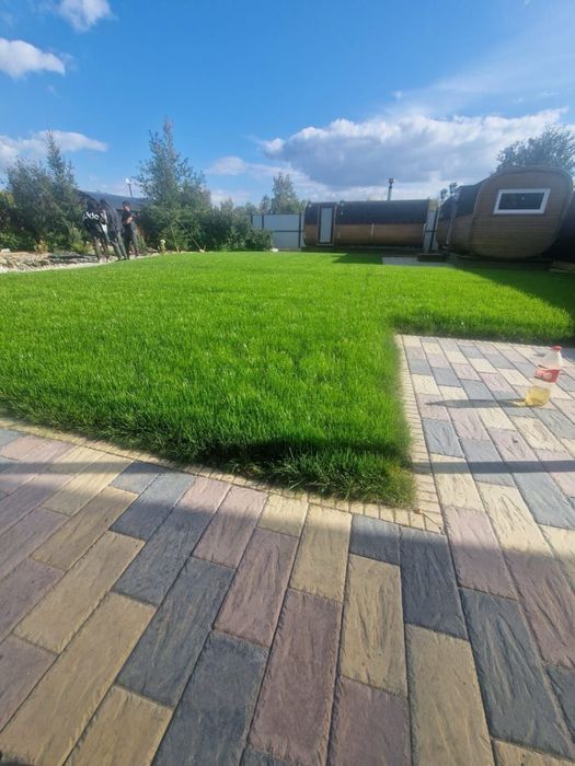 Озеленение газон ель