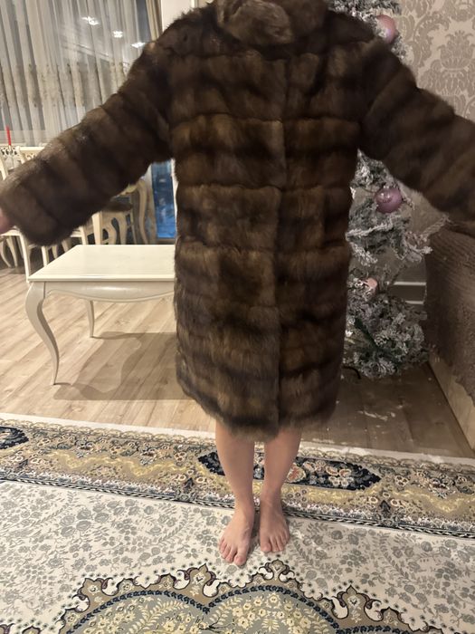 Продам дикий соболь