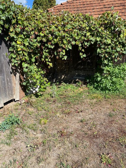 Vând casa cu teren