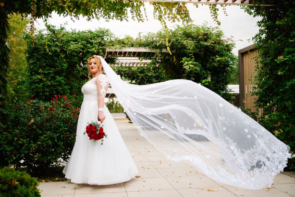 Foto -Video Timisoara