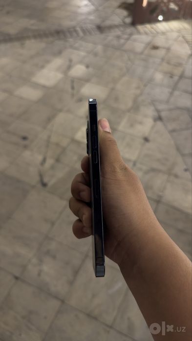 Iphone 12 pro max.