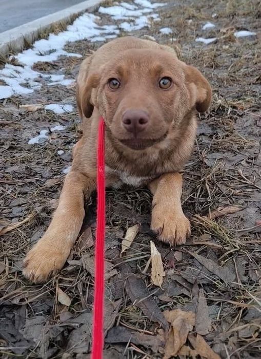 Малышка ищет дом