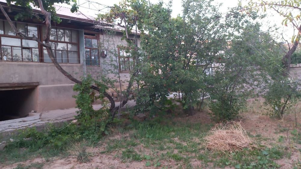 Hovli sotiladi 8 sotiq