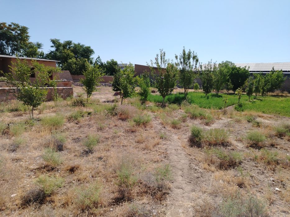 Ховли сотилади. ер майдони 18 сотих