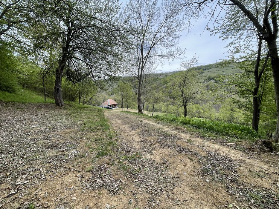Casa ,livada si padure in com batrana jud hunedoara tinutul padurenilor