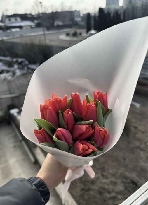 Тюльпаны Астана с оформлением