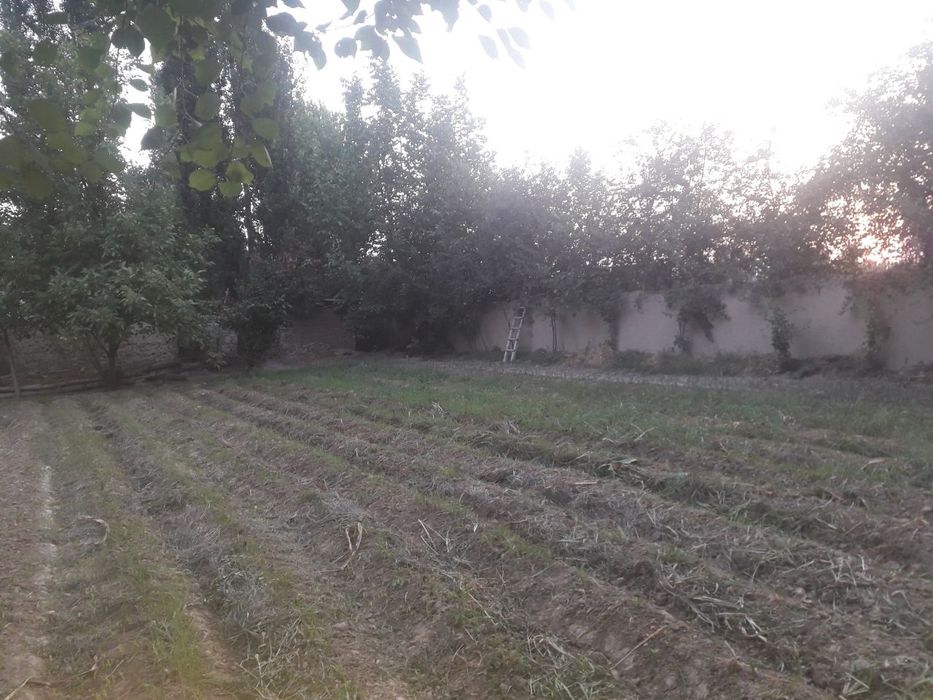 Уй 4 хонали ҳовли ва боғлари бор