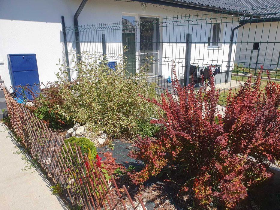 Proprietar închiriez casă parter în Maracineni -Argeselu