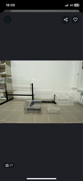 Той, Туылган кун, Ойын