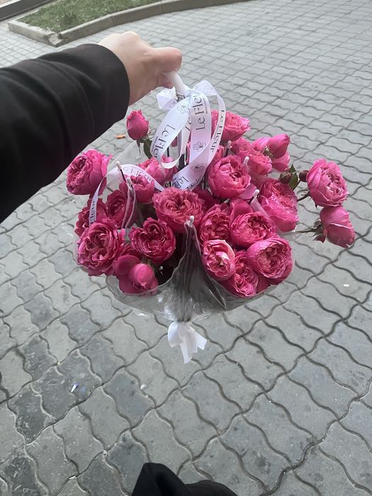 Жаңа келген свежи гүлдер