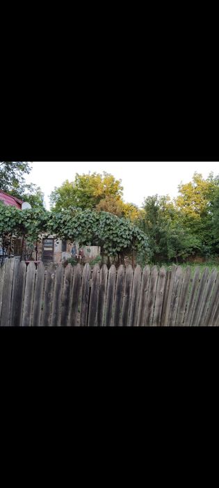 Casa de vânzare urgent!