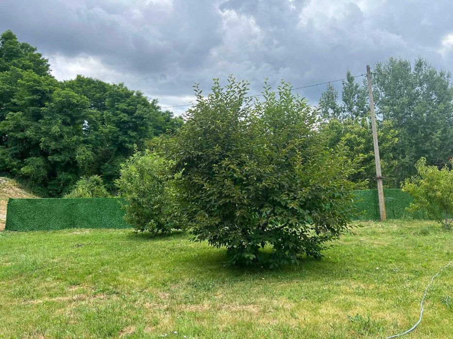 Продава се Парцел в София, Витоша - 831 кв.м за 43 €/кв.м - Снимка #8