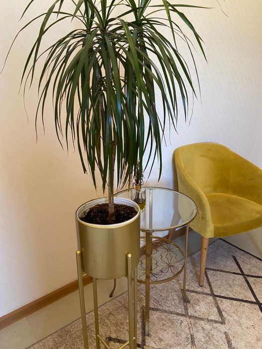 Кашпо хромированное